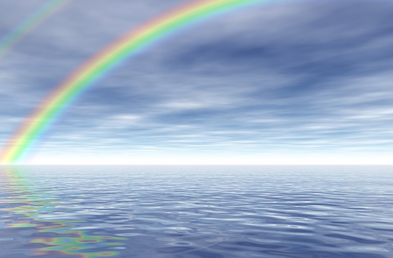 The Rainbow Connection