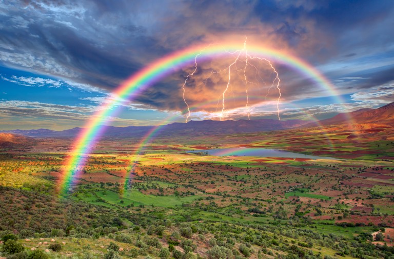 Living in Harmony with God’s Creative Order: Part 1