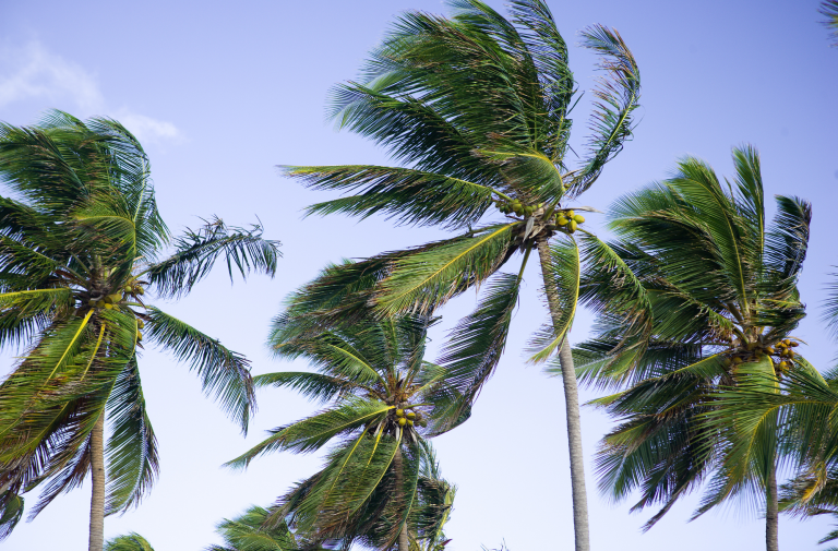 The Life Giving Breathe of God: Part 2