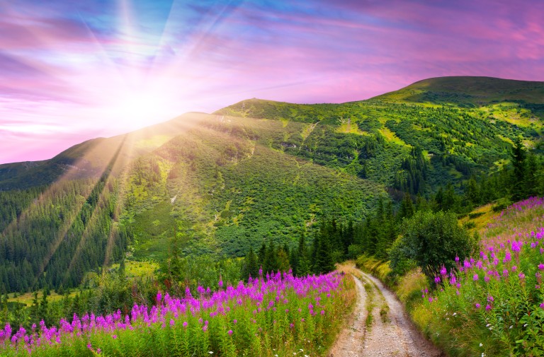 Recognizing Jesus Amidst the Turmoil of Life: Part 2